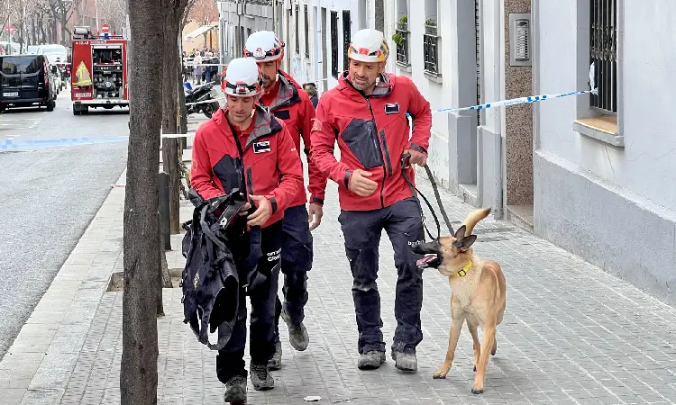 Bombers i gos de rescat