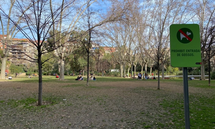 Gossos Turo Park