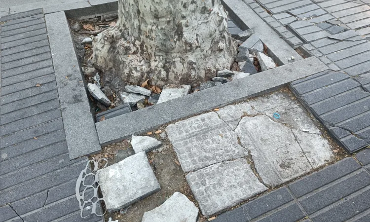 Amics de la Rambla reclama que es reparin els desperfectes del paviment