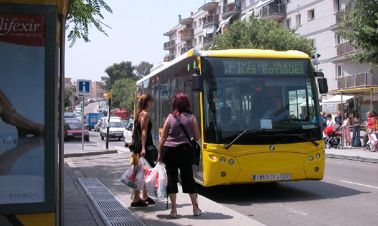 Avanza bus