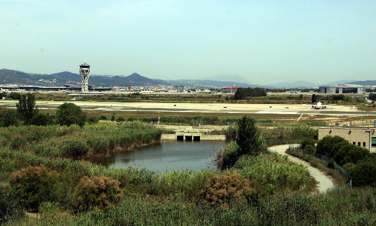 aeroport ampliació