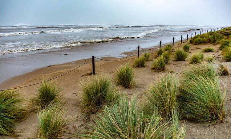 L'AMB estudia com evitar la regressió de les platges del Delta