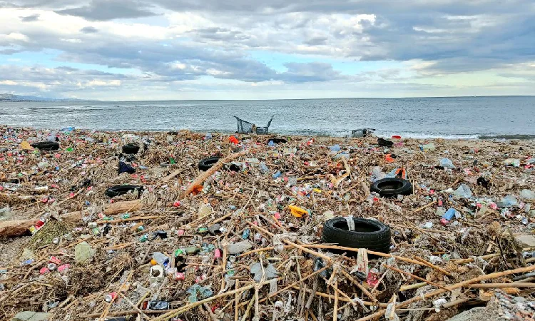 Preocupació per l’acumulació d’escombraries a la platja de Sant Adrià