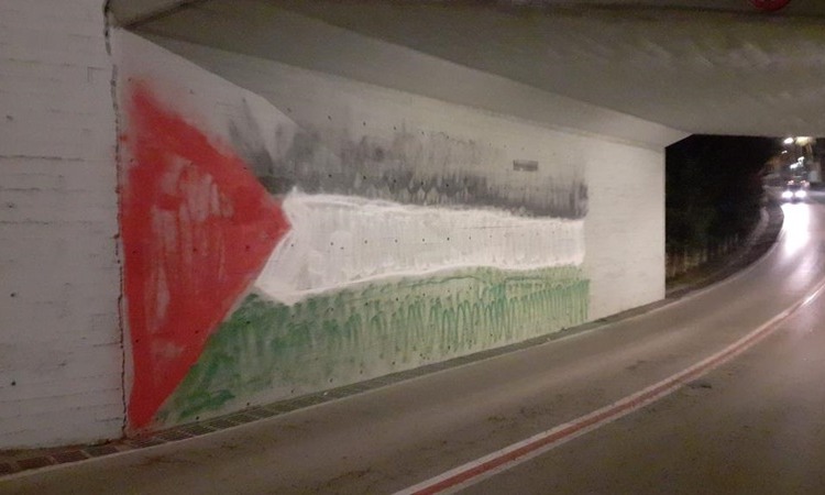 bandera palestina pintada