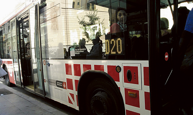 Bus D20