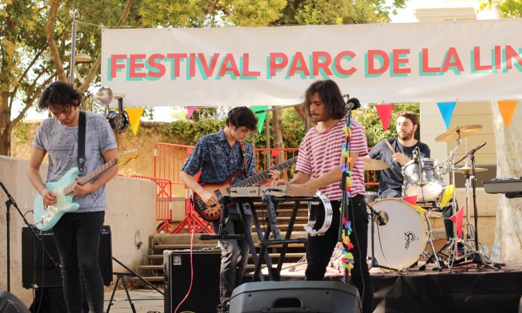 Festival Parc de la Linera