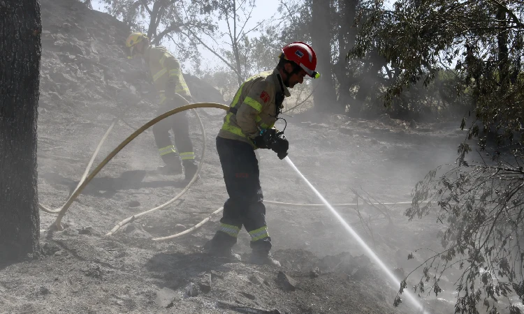 incendis estiu àrea metropolitana