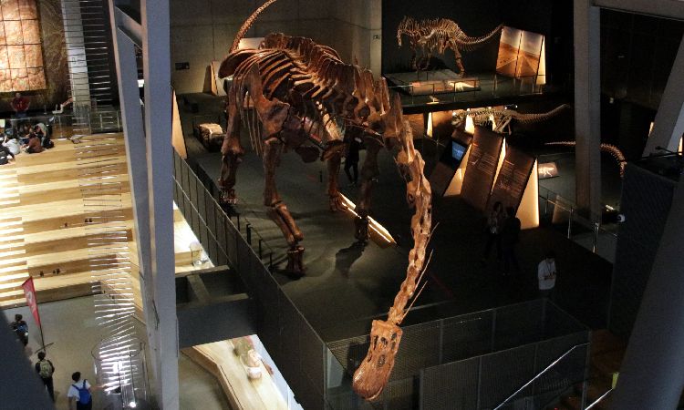 el dinosaure patagotitan mayorum