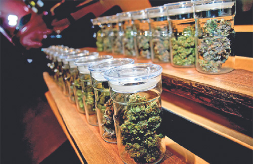 Imatge de l’interior d’un dels clubs de cànnabis de la ciutat. Foto: Arxiu