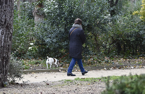 Els gossos ja no poden entrar al Turó Park. Foto: Línia Sarrià-Sant Gervasi