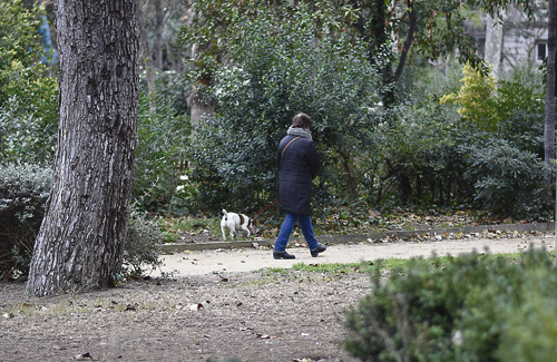 Actualment molts veïns fan servir el Turó Park per passejar el gos. Foto: Cristian López