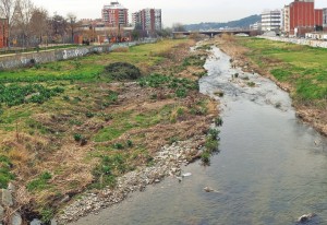 Recuperació d’ambients fluvials per incrementar la biodiversitat