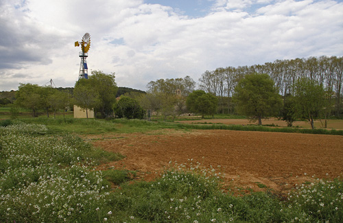 Una imatge d’arxiu de l’espai rural de Gallecs. Foto: Arxiu