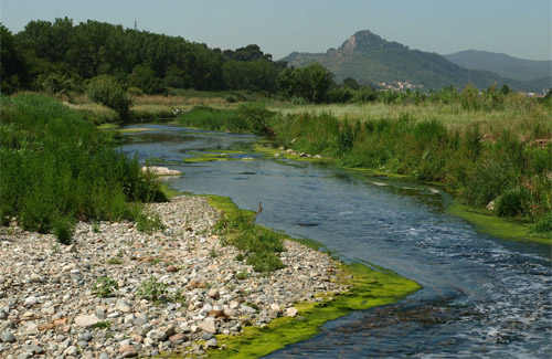 El Riu Besòs al seu pas per la Llagosta. Foto: Arxiu