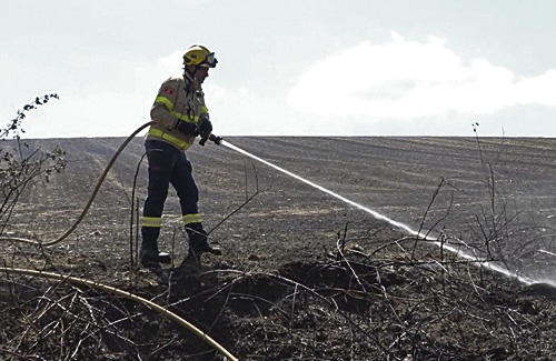 El foc va cremar 3,4 hectàrees dimarts al migdia. Foto: Bombers