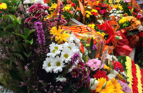 L’ofrena floral és un dels actes principals de la Diada. Foto: MES