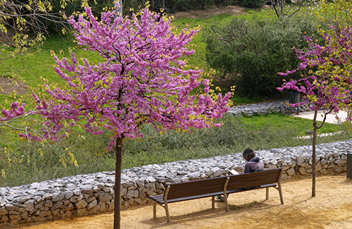 El parc de la Riera de Canyadó (Badalona) és un dels més ben valorats. Foto: AMB