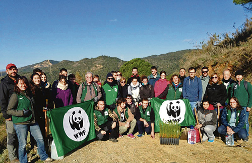 Els voluntaris abans de portar a terme la replantació a Collserola. Foto: WWF