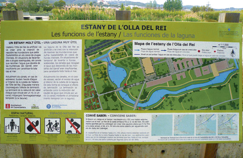 L’estany és l’única zona natural humida que queda a la ciutat. Foto: Arxiu