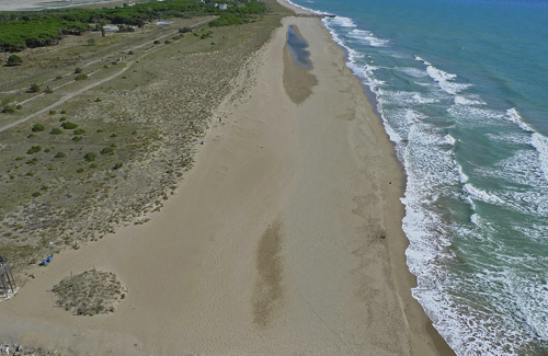 Les prestigioses dunes de la platja estan en perill. Foto: Ajuntament